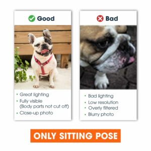 Pet Photo Personalized Doormat New House Home Decor Fall Season Halloween Gift For Dog Cat Lovers Dog Cat Owners 6 c5e4522a e5db 4abf 9b8a 9a29e816aa60