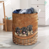 Cute Pet Laundry Basket